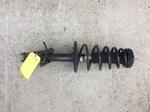 USED Shock Absorber -  Honda 2020 Accord, Hyundai 2006-2012 Sonata, Kia 2007-2012 Rio, Land Rover 2005-2008 LR3, Peugeot 2004 406, Toyota 2013-2020 Corolla, 2000 Sienna, Volkswagen 2008-2014 Passat